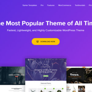 Astra Pro Theme - Lightweight & High-Performance WordPress Theme for SaaS, Business & Ecommerce